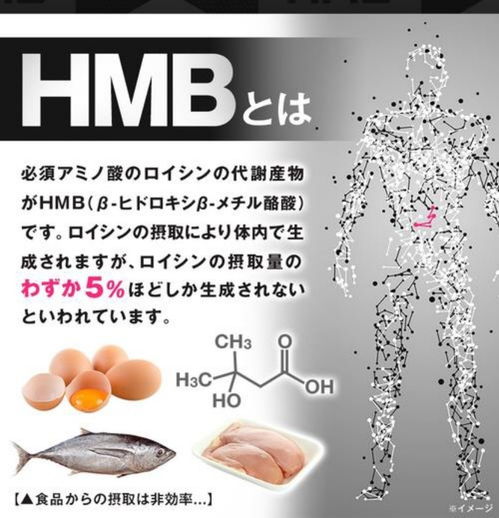 养生保健系列 揭秘一款新的食品原料 hmb