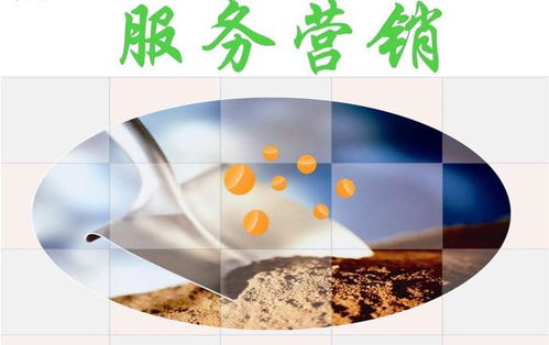 服务营销新境界 养生指南服务成为养生保健产品的终极目标