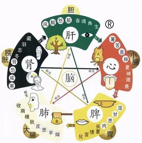 人到中年,开始养生,开贴记录站桩历程 第518天